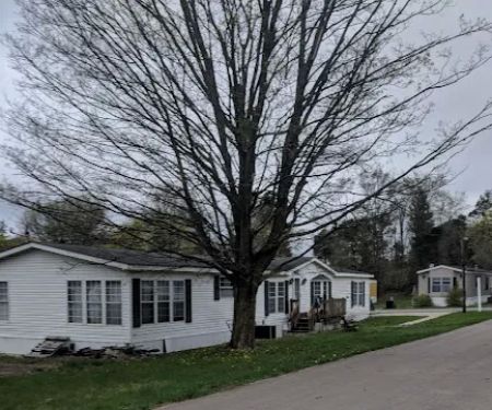 Maple Grove