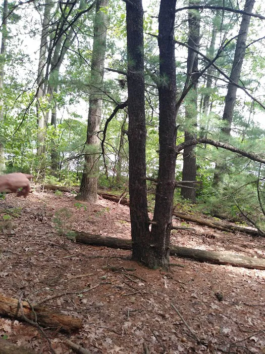 Long Lake Outdoor Center 9