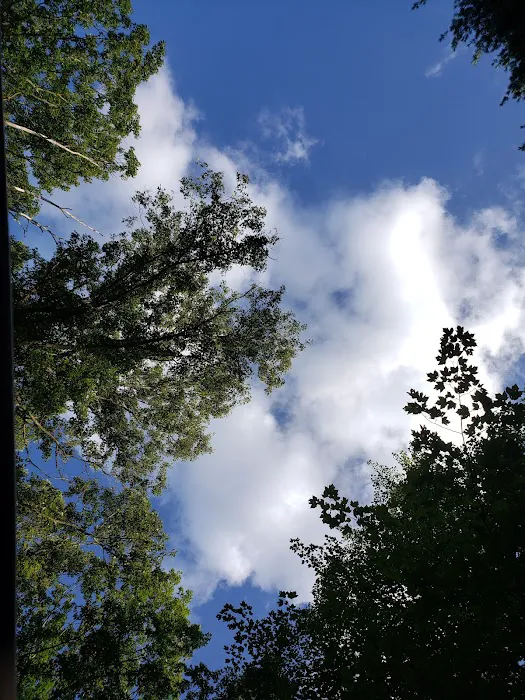 Long Lake Outdoor Center 4
