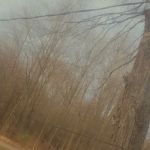 Golden Acres Mobile Home Park