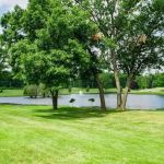 Hickory Hills Village