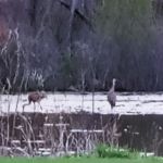 Creek Valley Mobile Home Park