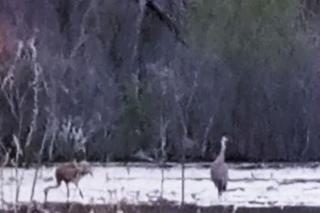 Creek Valley Mobile Home Park