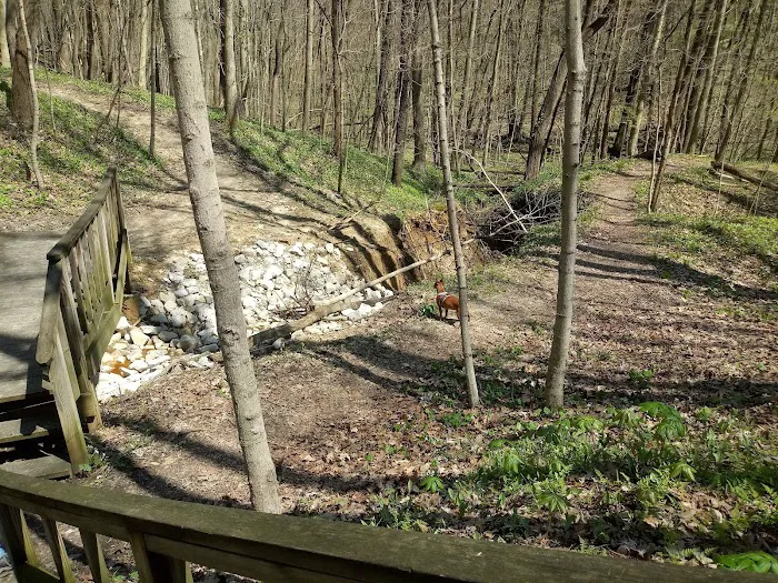 Ouabache Trails Campground 10