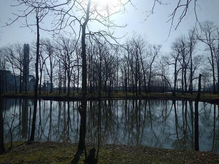 Indian Grove Campground 10