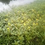 Echo Lake Manufactured Home Community