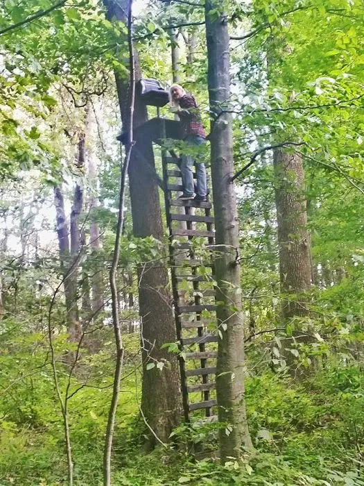 Camp Davis 1