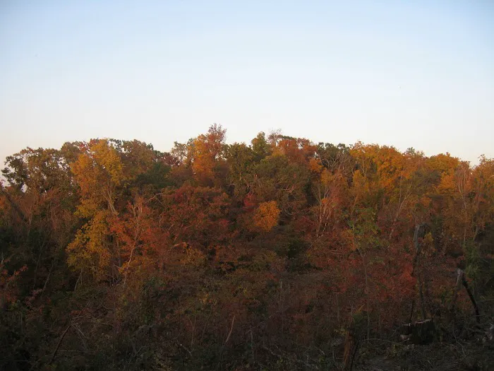 Hidden Valley Campground 1