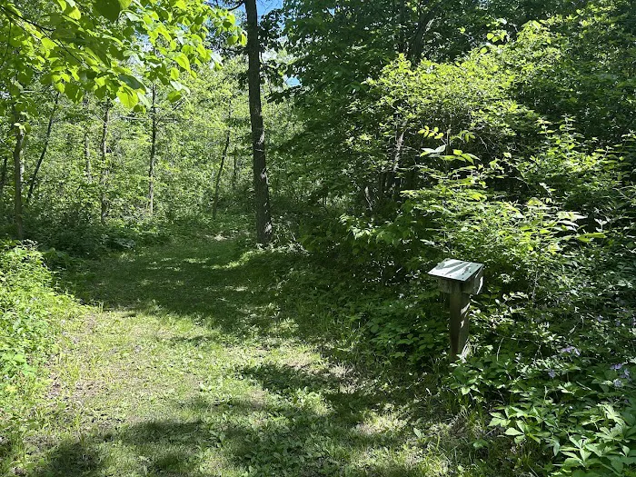 Fontana Park Creekside Campground 10