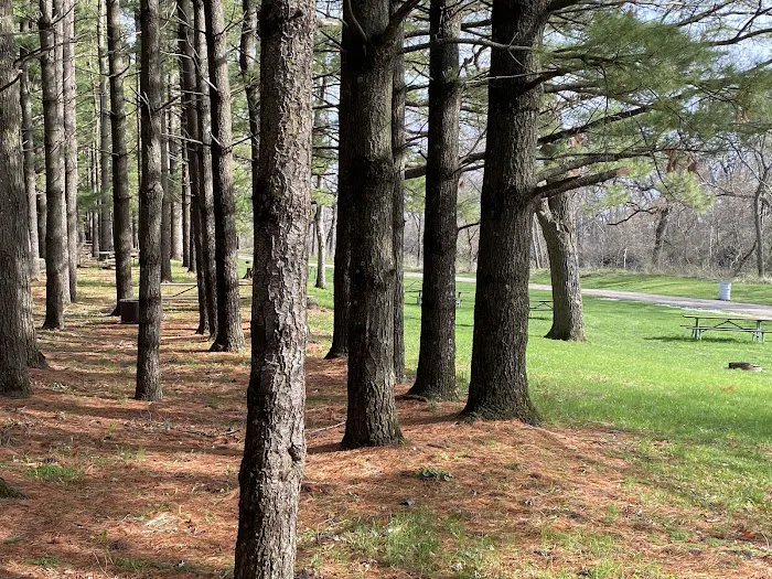 Fontana Park Creekside Campground 7