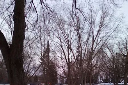 Maplewood Village
