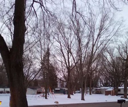 Maplewood Village
