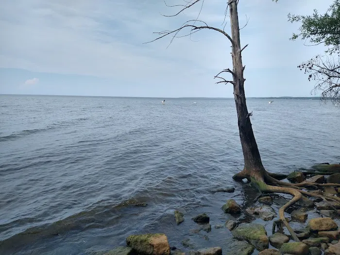 Bay Shore Campground 4