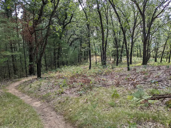 Hartman Creek Group Campground 8