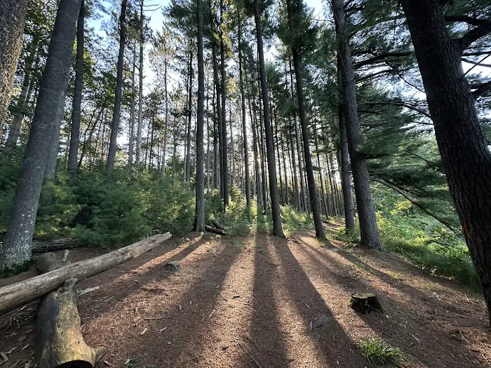 Hartman Creek State Park Family Campground 4