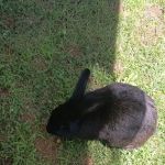 Leeman Landing Campground