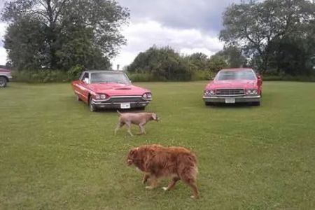 Iola Car Show Campgrounds