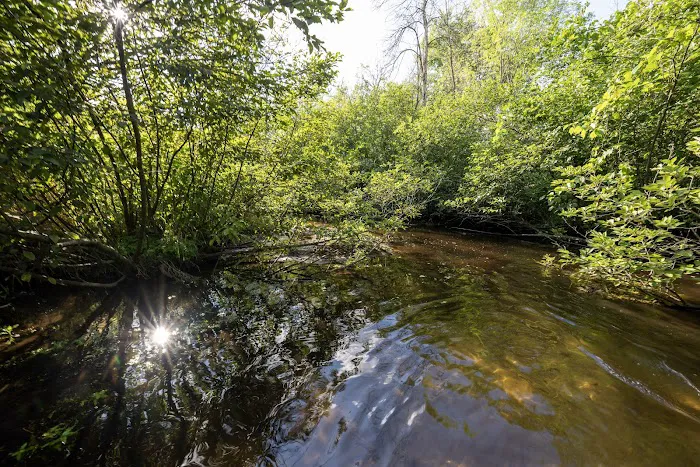 Winding Creek Campground 7
