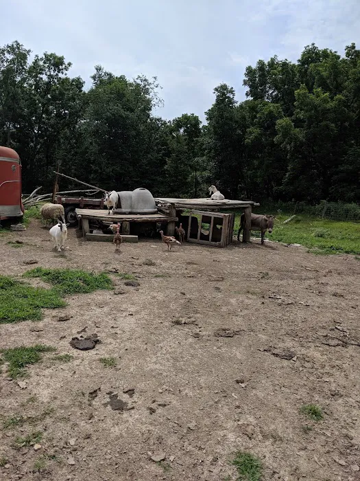 Shady Rest Acres 1