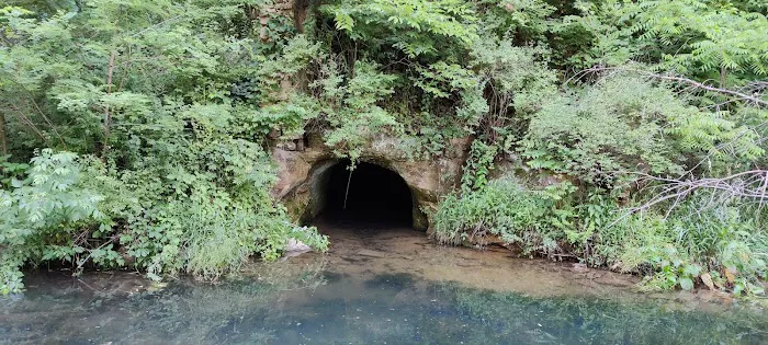 Shady Rest Acres 6