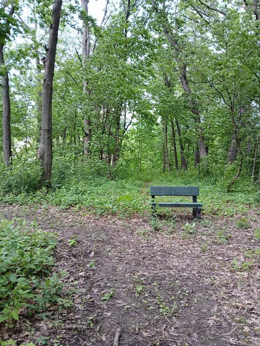 Forestry Department 1