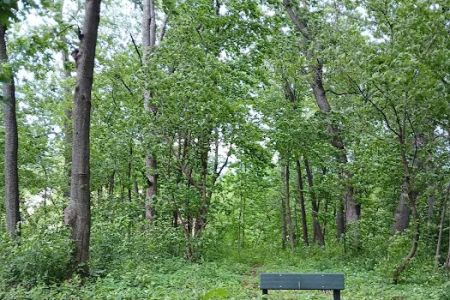 Forestry Department
