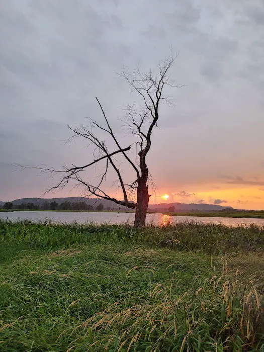 Goose Island Campground 5