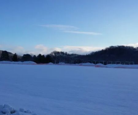 Pammel Creek Estates INC