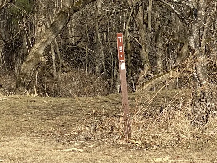 KVR Campsite T 4