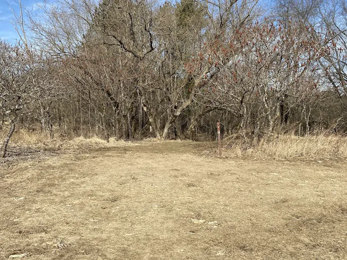 KVR Campsite T 5