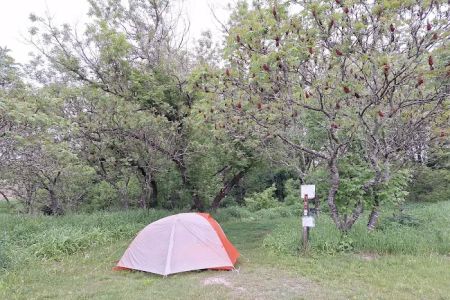 KVR Campsite T