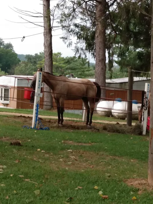 End of The Trail Equine Campground 4