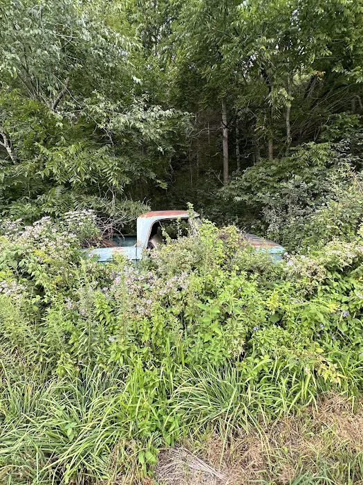 Sampson Springs Campground 4