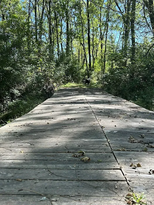 Middle Bear Campground 8
