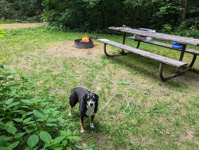 Beaver Creek Valley Campground 2