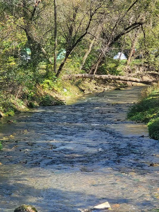 Pulpit Rock Campground 10