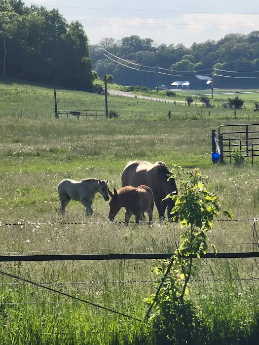 Hutchinson Family Farms 10