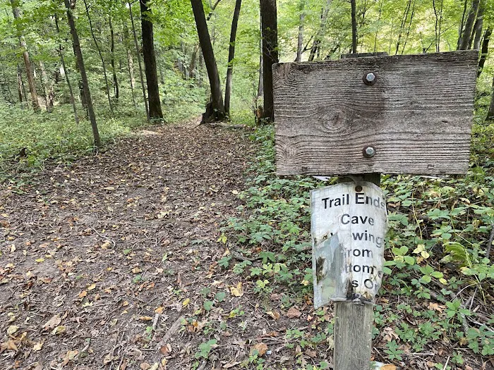 Duttons Cave Campground 7
