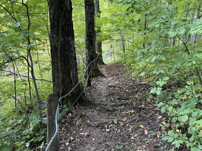 Duttons Cave Campground 3
