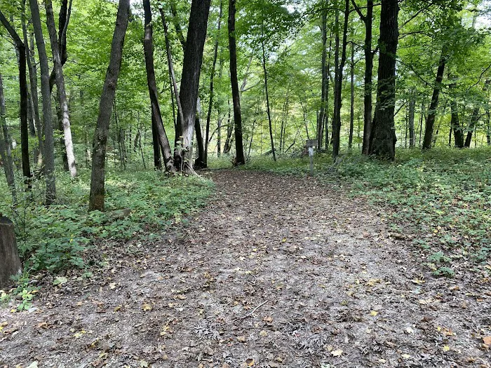 Duttons Cave Campground 9