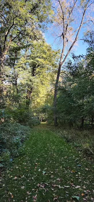 Duttons Cave Campground 10