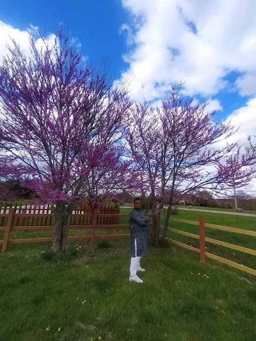 Utopia Park 4