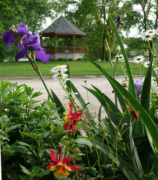 Van Buren County Conservation 4