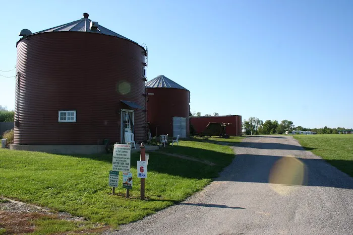 Buena Vista Farms Inc 3