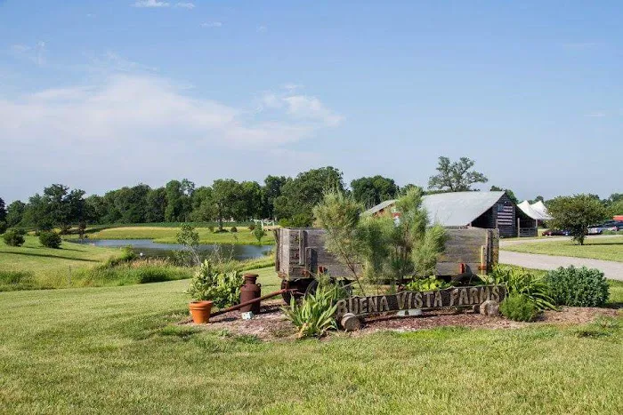 Buena Vista Farms Inc 4