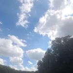 Bluffs