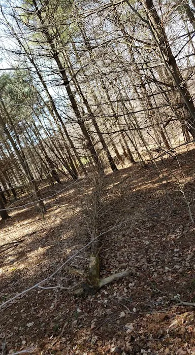 Bluffs 8