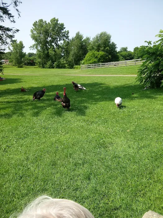 Camp Turkeyville RV Resort 7