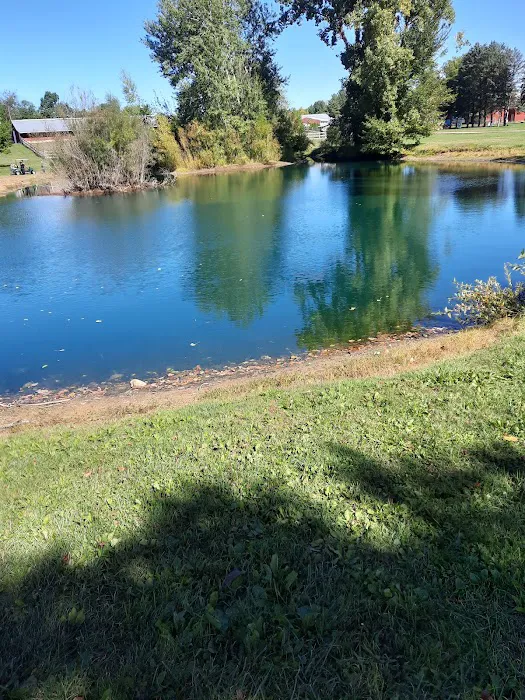 Camp Turkeyville RV Resort 5