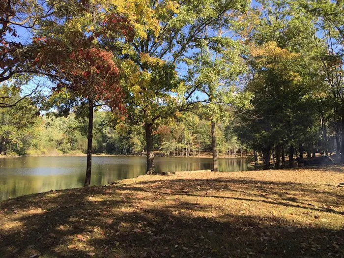 Taylor Lake Campground 9